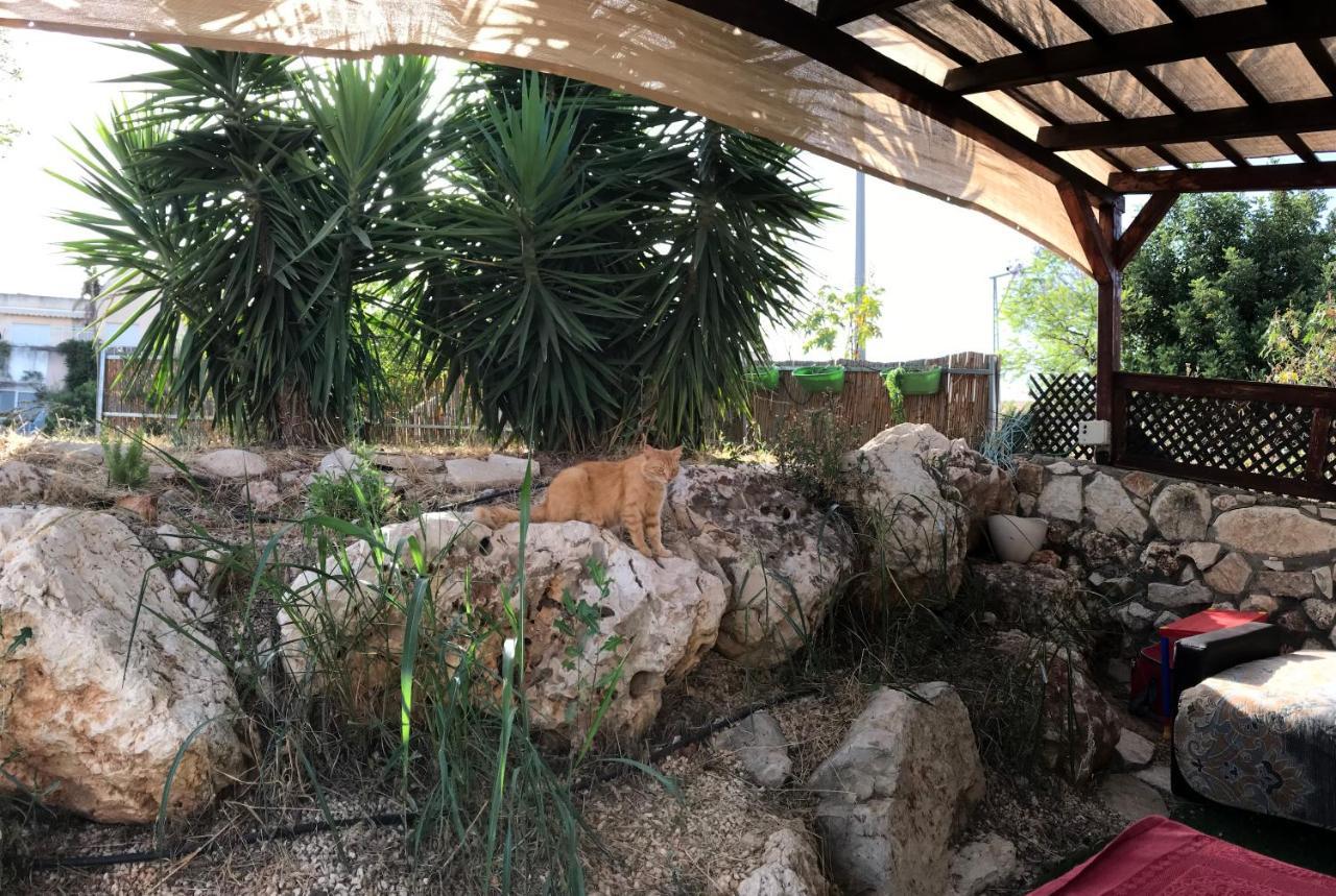 Panorama Kinneret נוף כנרת, צפת المظهر الخارجي الصورة